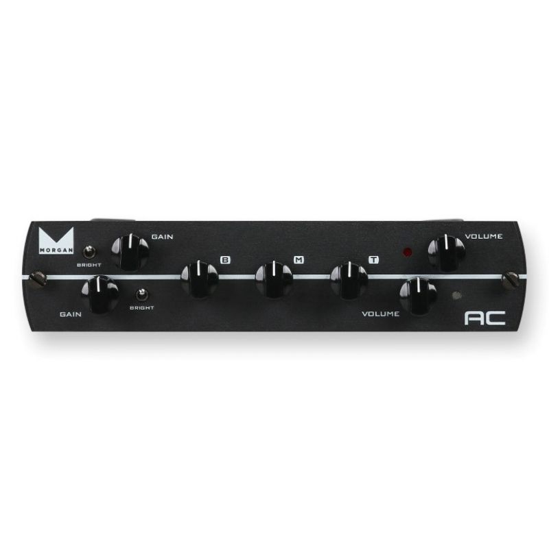 Гитарный модуль-преамп Synergy Morgan AC Preamp Module